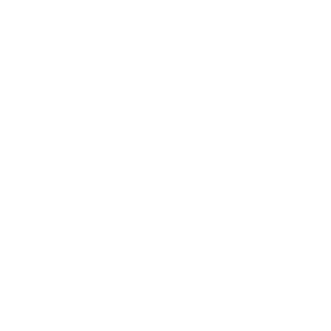 Icon_brain_SIDE_profile_WHT-01