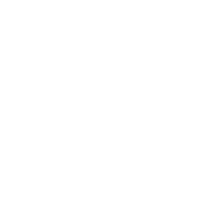 Icon_Crest_Star_WHT-01