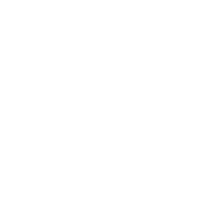 Icon_lightbulb_lightening_bolt_WHT-01