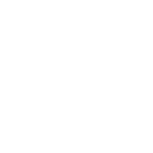 Icon_Monitor_magnify_WHT-01